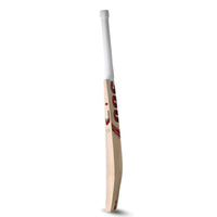 EM 360 Bold Kashmir Willow Cricket Bat – AB de Villiers 360 Range Grade‑1 Kashmir Willow Power Bat for Leather & Hard Tennis Ball - Best Price online Prokicksports.com