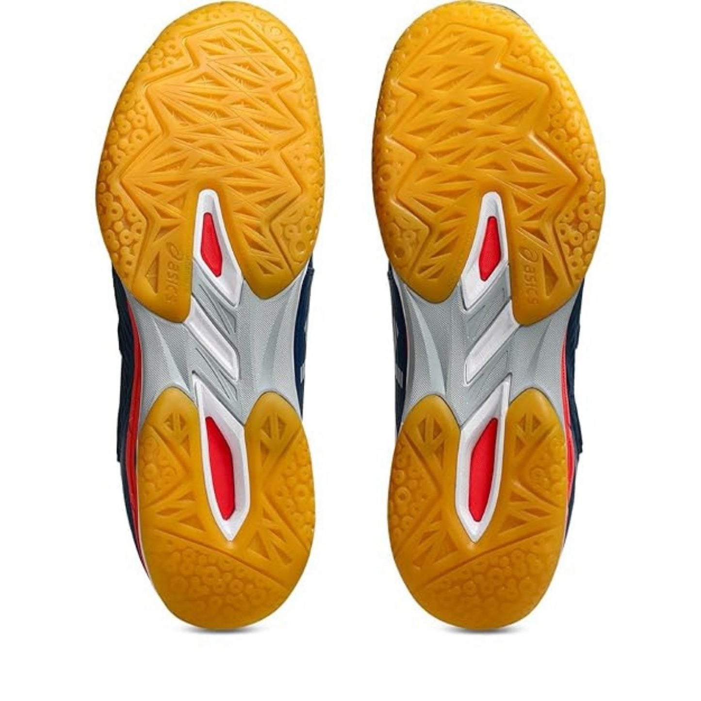 ASICS COURT CONTROL FF 3 Men's Indoor Court Shoes | Professional Badminton/Volleyball Shoes | FlyteFoam Cushioning | Non-Marking Gum Rubber Sole | Enhanced Stability & Control - Best Price online Prokicksports.com