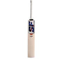 SF Blaster 8000 English Willow Cricket Bat - SH | Premium Willow with Thick Edges, Mid Sweet Spot & Powerful Stroke Play - Best Price online Prokicksports.com