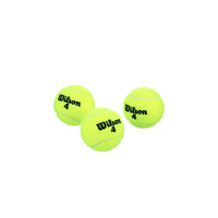 Wilson Four Championship Extra Duty Tennis Balls Dozen, 4 Cans - Best Price online Prokicksports.com
