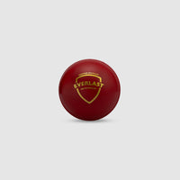 SG Everlast Tec Synthetic Cricket Ball - image 2