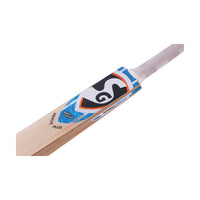 SG Nexus Plus Kashmir Willow Cricket Bat for Leather Ball Play – Full-Size Lightweight Bat for Beginners, Youth, Training & Club Matches (Copy) - Best Price online Prokicksports.com