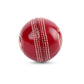 SG Shield 30 Cricket Leather Ball 1 PC, Red – Youth, 4‑Piece Alum‑Tanned Leather, Waterproof, Club & School Match Ball - Best Price online Prokicksports.com