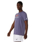 ASICS Men Court Graphic Tee Roundneck T-Shirt – Greyish Purple/Nova Orange | Breathable Sports Graphic Tee - Best Price online Prokicksports.com