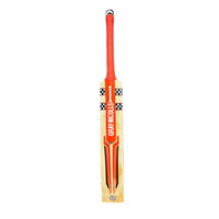 Gray Nicolls GN 3.5 Astro English Willow Cricket Bat – SH | Grade Willow with Thick Edges, Mid Sweet Spot & Semi-Oval Handle for All-Round Performance - Best Price online Prokicksports.com