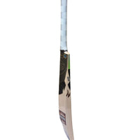 SG HP Icon English Willow Cricket Bat - Best Price online Prokicksports.com
