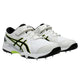 ASICS Speed Menace FF Men's Cricket Shoes | Lightweight Professional Cricket Footwear