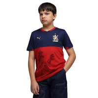 PUMA RCB Takedown Tee 2026 V-Neck T-Shirt for Men | Lightweight Polyester Fabric with dryCELL Technology & Official RCB Branding for Fan Wear - Best Price online Prokicksports.com