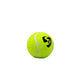 SG Club Heavy Cricket Balls Pack of 3, Green – Adult Heavyweight Training Balls, 120–125 g, Durable Construction, Perfect Bounce - Best Price online Prokicksports.com