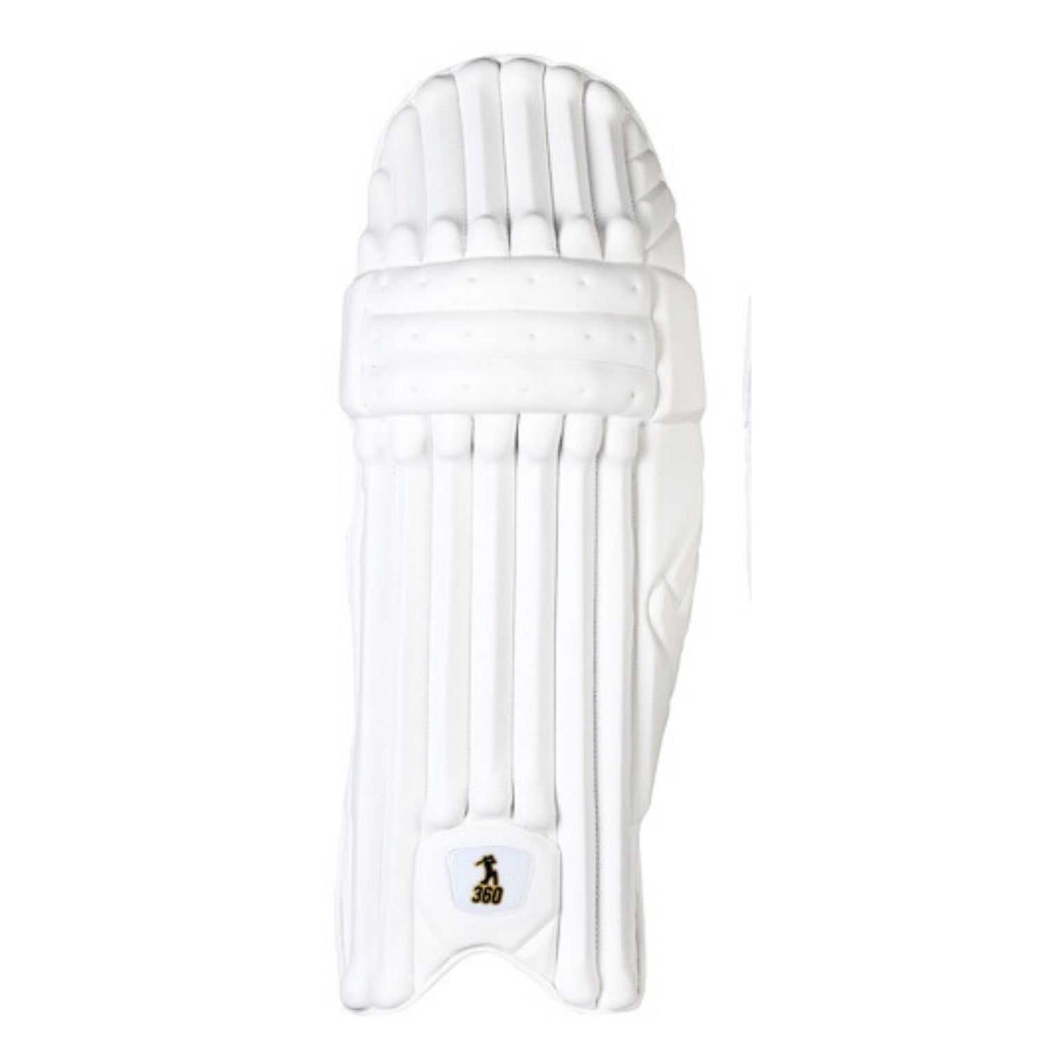 EM 360 Number 17 Cricket Batting Legguard Right Hand – ABD 360 No.17 Hi‑Density EVA Pads with Specialized Knee Socket - Best Price online Prokicksports.com