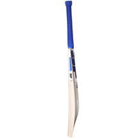SF Magnum Icon English Willow Cricket Bat - SH | Premium Willow with Thick Edges, Mid Sweet Spot & Powerful Stroke Play - Best Price online Prokicksports.com