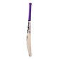 DSC RS Exclusiv Kashmir Willow Cricket Bat – Short Handle | Powerarc Bow with Massive Edges & Rinku Singh Edition - Best Price online Prokicksports.com