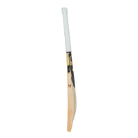 SG HP T-20 English Willow Cricket Bat - SH | Premium Willow with Thick Edges, Mid Sweet Spot & Powerful Stroke Play - Best Price online Prokicksports.com