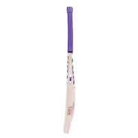 SS Ton Glory English Willow Cricket Bat – Short Handle | Grade 3/4 Willow with Massive TON Edges & Balanced Pickup - Best Price online Prokicksports.com