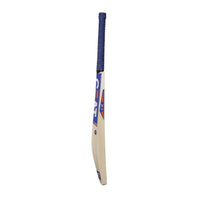CEAT Storm English Willow Cricket Bat, Short Handle | Grade 3/4 Willow with Thick Edges & Power Hitting Profile - Best Price online Prokicksports.com