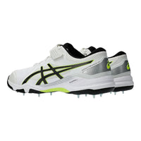 ASICS Speed Menace FF Men's Cricket Shoes | Lightweight Professional Cricket Footwear - Best Price online Prokicksports.com