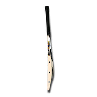 SF Empower English Willow Nurtured Cricket Bat | Premium Cricket Bat for Leather Ball Cricket - Best Price online Prokicksports.com