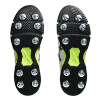 ASICS Speed Menace FF Men's Cricket Shoes | Lightweight Professional Cricket Footwear - Best Price online Prokicksports.com