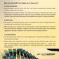 HUNDRED Fusion Support Insoles, Black/Orange/Sea Blue | Orthotic Arch Support Insole with Fusion Gel Cushion & Stability - Best Price online Prokicksports.com