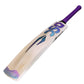 DSC RS Exclusiv Kashmir Willow Cricket Bat – Short Handle | Powerarc Bow with Massive Edges & Rinku Singh Edition - Best Price online Prokicksports.com