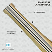 GM Icon 606 English Willow Cricket Bat – SH Mens | Grade 3 Willow, Full Profile, L555 Blade, Power Arc Bow | Large Sweet Spot, Treble Spring Cane Handle - Best Price online Prokicksports.com