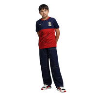 PUMA RCB Takedown Tee 2026 V-Neck T-Shirt for Men | Lightweight Polyester Fabric with dryCELL Technology & Official RCB Branding for Fan Wear - Best Price online Prokicksports.com