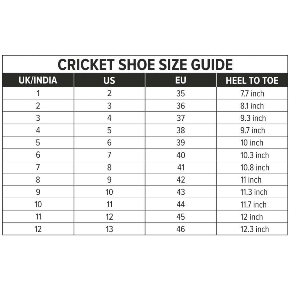 DSC Zooter Cricket Shoes (PVC Studs) | Lightweight Synthetic Upper | Ideal for Turf & Hard Pitches - Best Price online Prokicksports.com