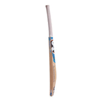SG Nexus Plus Kashmir Willow Cricket Bat for Leather Ball Play – Full-Size Lightweight Bat for Beginners, Youth, Training & Club Matches (Copy) - Best Price online Prokicksports.com