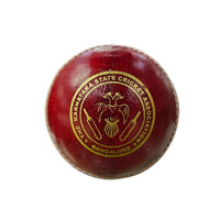 SF True Test Leather Cricket Ball – 1 Ball for Professional and Club Matches, Durable, Seam-stitched, Long-lasting Match Ball - Best Price online Prokicksports.com