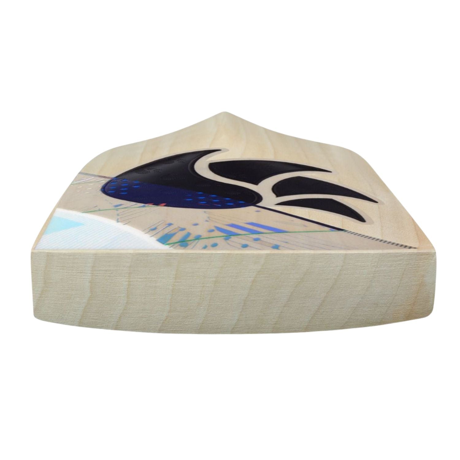 DSC Condor Glider English Willow Cricket Bat - SH | Lightweight Cricket Bat for Power & Control | Professional Grade Short Handle Bat - Best Price online Prokicksports.com