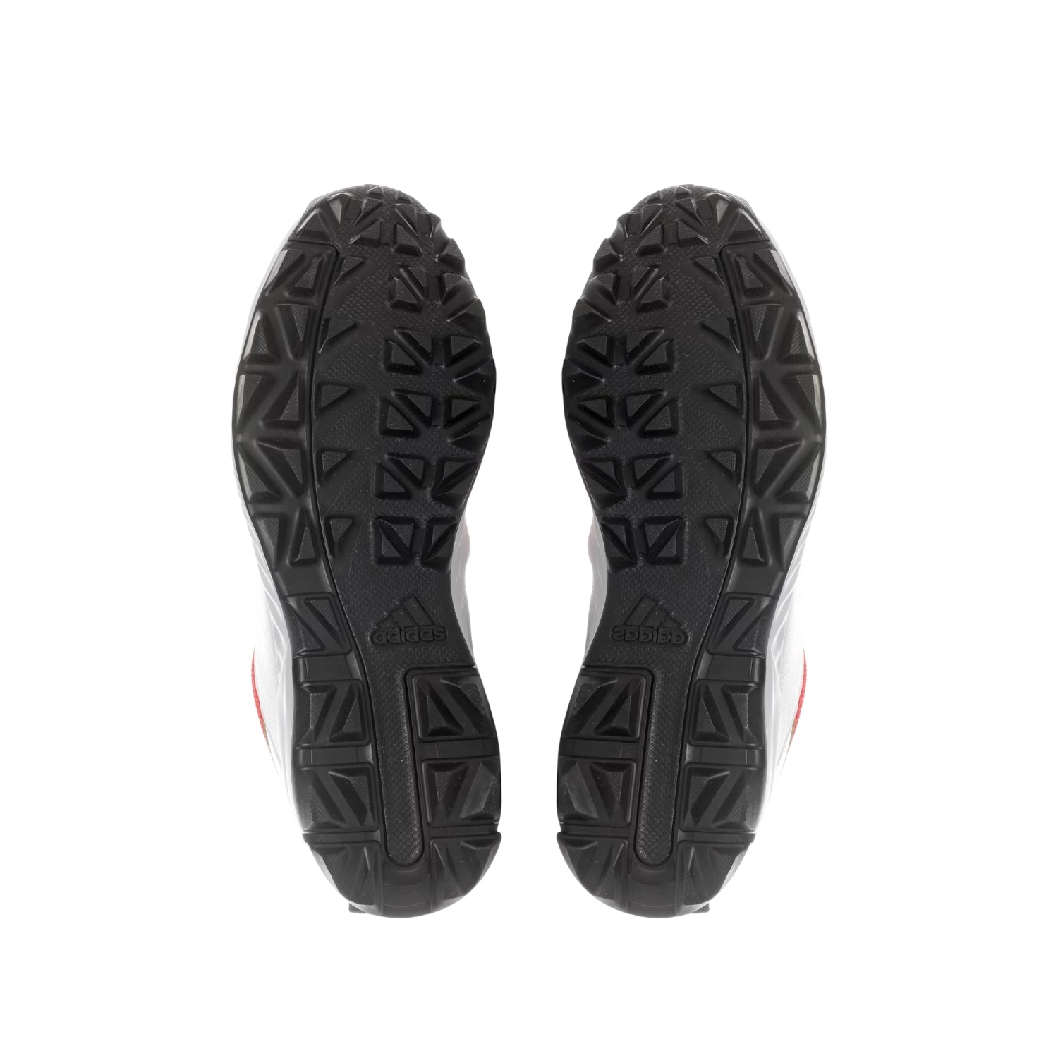 ADIDAS CRIHASE 23 Cricket Shoes Rubber for Men | Durable Grip & Comfort for Training & Match Play - Best Price online Prokicksports.com