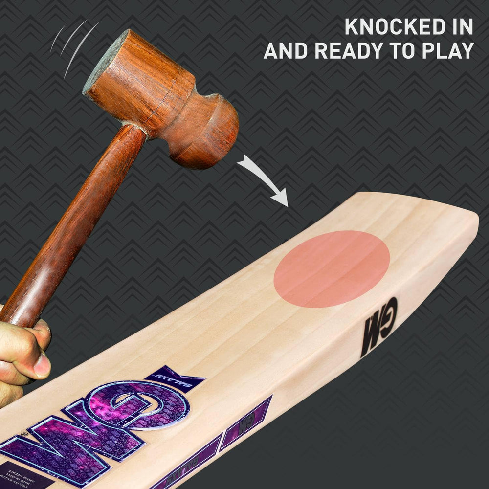 GM Galaxy 606 English Willow Cricket Bat | Size SH | Grade 2 | Powerarc Bow Face | Insulated Grip