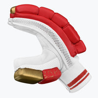 DSC Strike 20/20 Cricket Batting Gloves | Leather Palm, FRP Finger Protection, Multi-Flex | Men's LH
