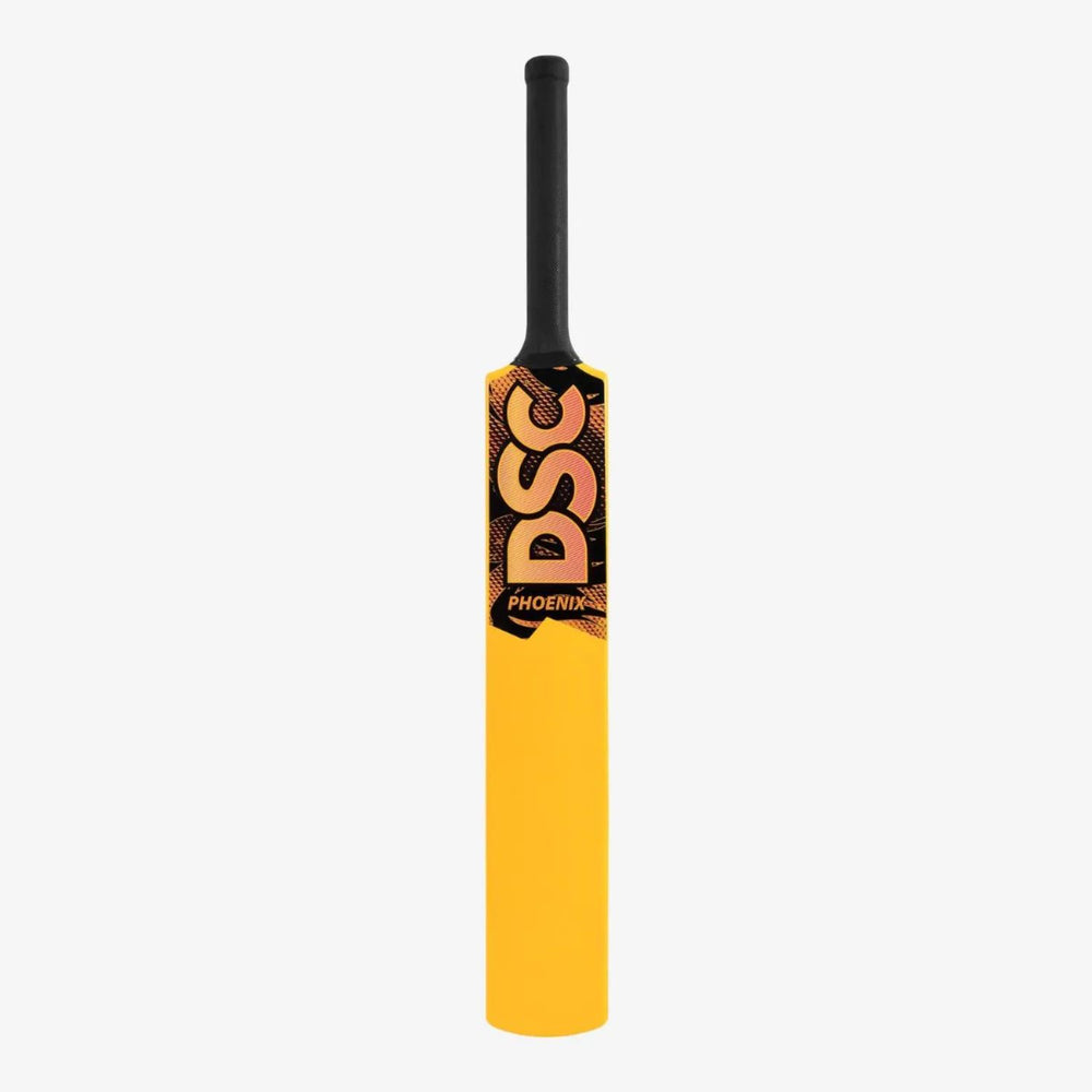 DSC Phoenix Cricket Set | Complete Junior Cricket Starter Kit | Lightweight Training Set for Young Cricketers - Best Price online Prokicksports.com