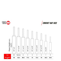 SS Players 5000 English Willow Cricket Bat – SH | Grade Willow with Thick Edges, Mid-Low Sweet Spot & Sarawak Cane Handle for Power Performance - Best Price online Prokicksports.com