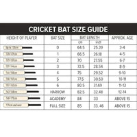 GM Maxi 909 English Willow Cricket Bat – SH (Short Handle), Premium Grade Cricket Bat for Professional Match Play - Best Price online Prokicksports.com