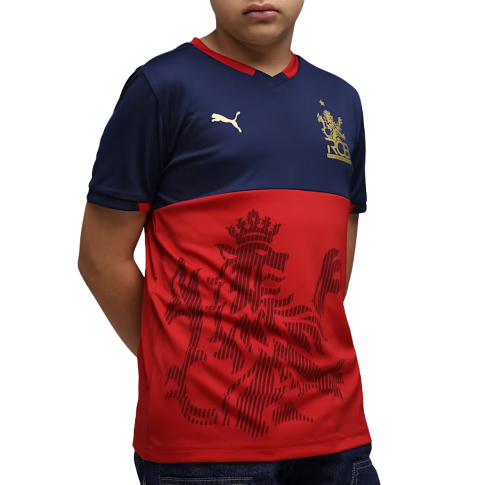 PUMA RCB Takedown Tee 2026 V-Neck T-Shirt for Men | Lightweight Polyester Fabric with dryCELL Technology & Official RCB Branding for Fan Wear - Best Price online Prokicksports.com