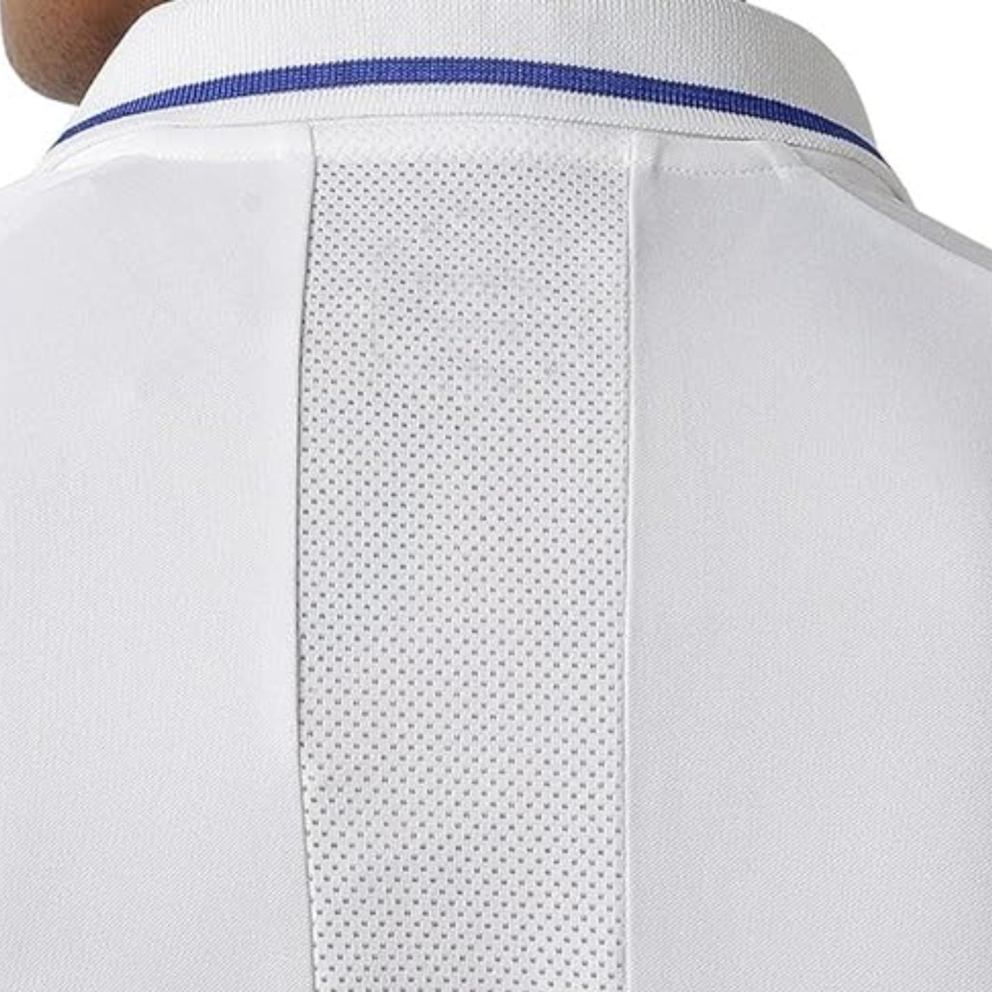 ASICS Cricket Polo 2 for Men, Cream | Lightweight Performance Polo with Moisture-Wicking Fabric & Breathable Comfort - Best Price online Prokicksports.com