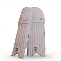 SS Tilak Varma Classic Kashmir Willow Cricket Kit - image 2