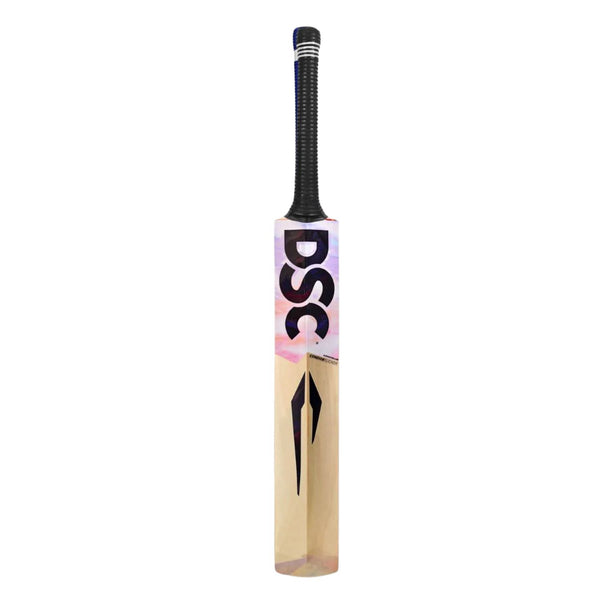DSC Condor Flicker Kashmir Willow Cricket Bat