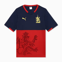 PUMA RCB Takedown Tee 2026 V-Neck T-Shirt for Men | Lightweight Polyester Fabric with dryCELL Technology & Official RCB Branding for Fan Wear - Best Price online Prokicksports.com