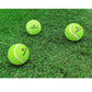 Prokick Plastic Cricket Set Green for Kids | Lightweight Outdoor Cricket Kit - Best Price online Prokicksports.com