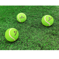 Prokick Plastic Cricket Set Green for Kids | Lightweight Outdoor Cricket Kit - Best Price online Prokicksports.com