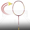 Maroon/Gold
