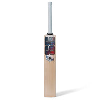 SS Professional English Willow Cricket Bat - image 1