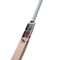 SS Professional English Willow Cricket Bat - image 4