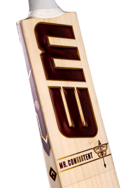 EM B. Sai Sudharsan 110 English Willow Cricket Bat | Premium English Willow Bat with Balanced Pickup, Thick Edges & Large Mid Sweet Spot - Best Price online Prokicksports.com