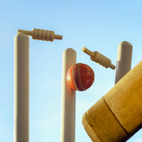 Prokick Blaster Wooden Cricket Stump Set (Pack of 3 Stumps/2 Bails) - Best Price online Prokicksports.com