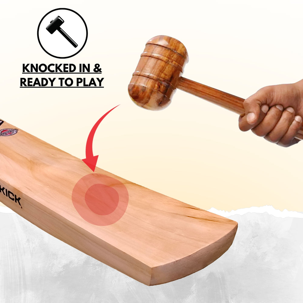 Prokick Burst Plus Kashmir Willow Scoop Cricket Tennis Ball Bat - Best Price online Prokicksports.com