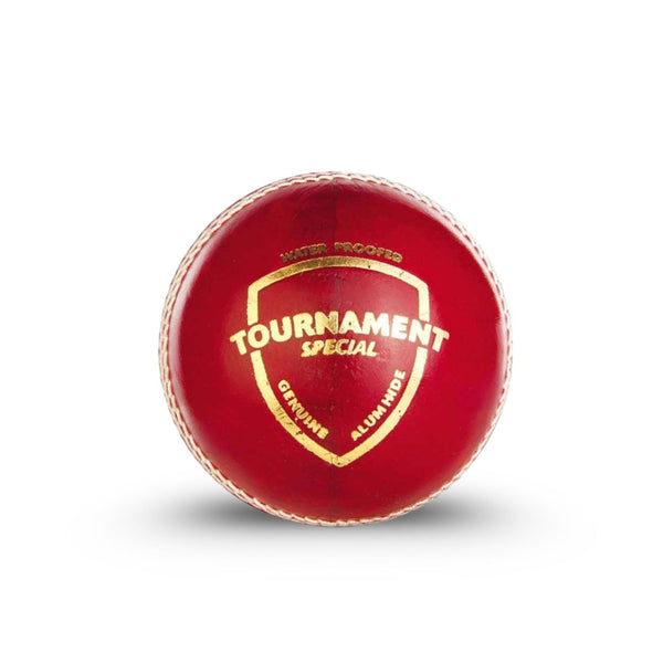 SG Tournament Special Leather Ball